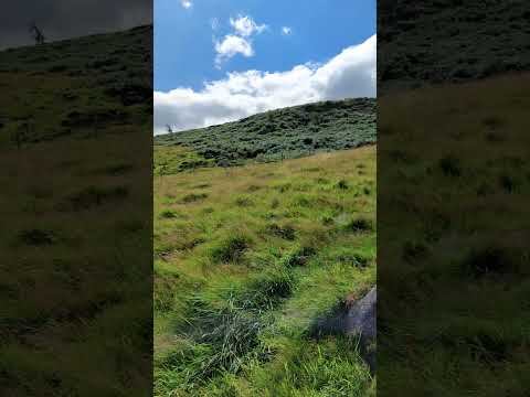 Party time | sunny weather | Yorkshire England | Song Green Green Grass #travel #countryside #viral