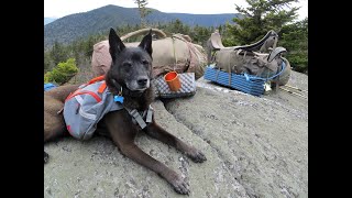 Backpacking 101 - Why you should always do a shakedown hike