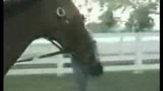 John Henry Tribute At Oak Tree At Santa Anita