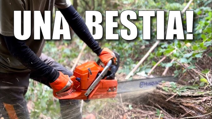 Motosega Stihl o Motosega Husqvarna? È questo il dilemma