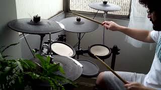 Melvins - Raise A Paw (Drum Cover)