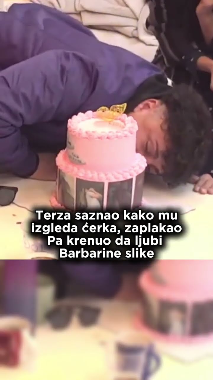 #zadruga #rtvpink #zadrugauzivo