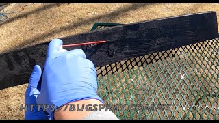 How To Treat Wood Borers in Cabinets, Wood Floors or Decorative Art Statues by U-Spray Bugspray 698 views 1 year ago 13 minutes, 12 seconds