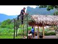COI & LAI expands and renovates its retail store- Harvesting fresh vegetables from the farm for sale