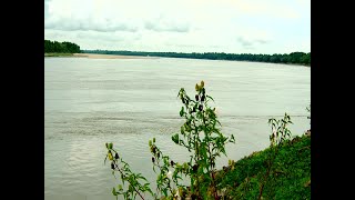 Focused on Mississippi: Low water levels on Mississippi River