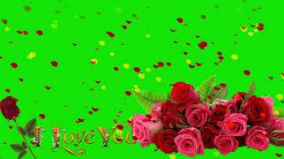 rose petals falling video free download(star video effect)