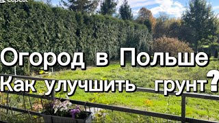 #влог ✅❤️Как улучшить почву и сделать её плодородной  #польша #nature #garden #грядки