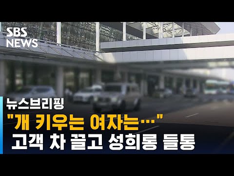 여자가 개 키우는 이유는 고객 차 끌고 성희롱까지 SBS 주영진의 뉴스브리핑 