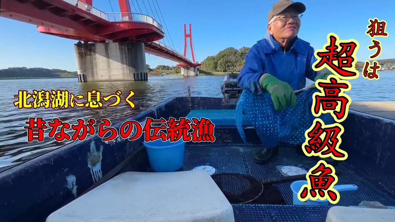 【伝統うなぎ漁】北潟湖の竹筒漁!【北潟漁協の漁師達】 - YouTube