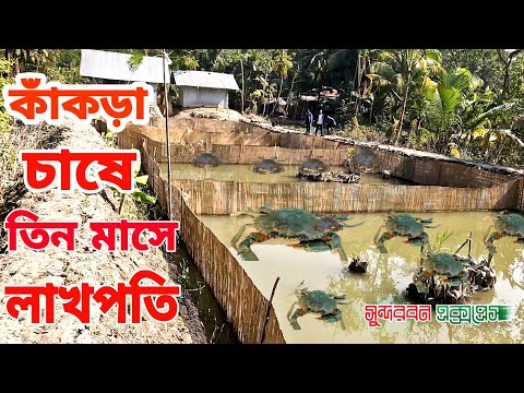 ভিডিও: টুপি তৈরির টি উপায়