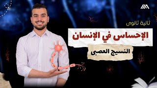 النسيج العصبي🚨محاضره 5 للصف الثاني الثانوي - الخلايا العصبية -الإحساس فى الإنسان👏🏻🫶🏻