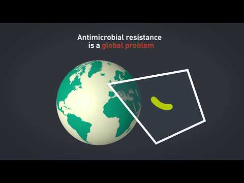 Antimicrobial Resistance (AMR) research at the Quadram Institute