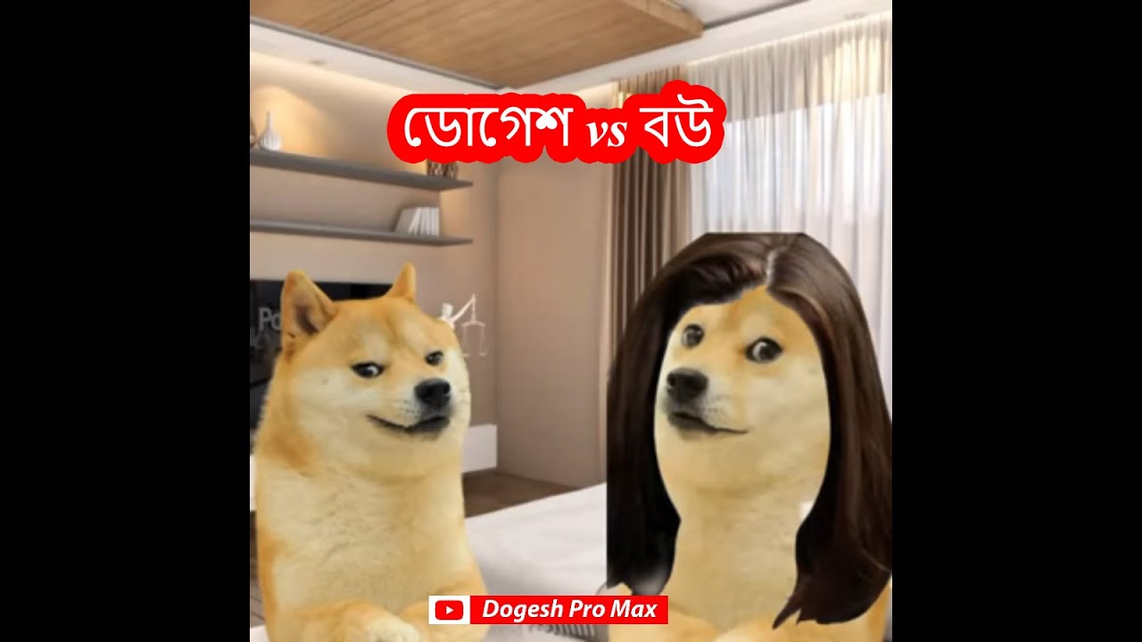 ডোগেশ vs বউ | Dogesh Pro Max