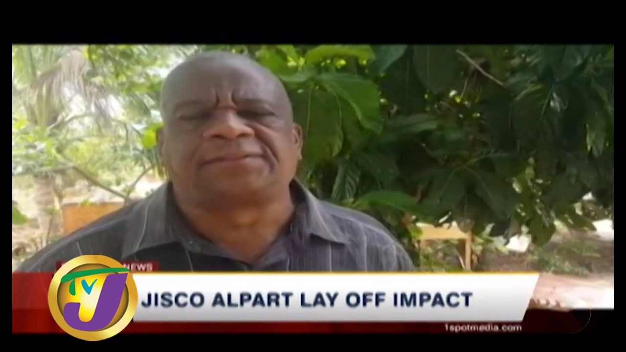 TVJ News Today: JISCO Alpart Lay Off Impact - August 5 2019