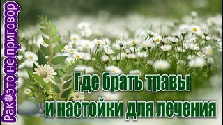 🌼Где брать травы и настойки для лечения ❗️❗️❗️