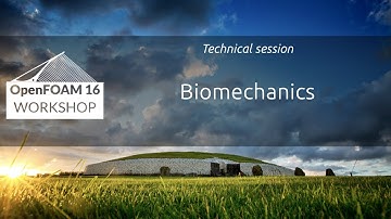 [16th OpenFOAM Workshop] Biomechanics