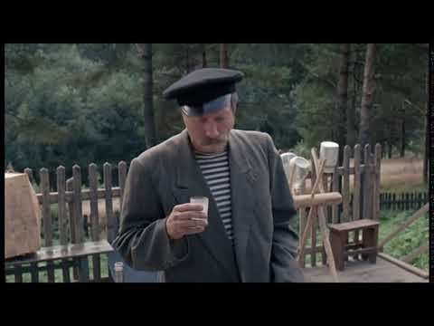 Любовь и голуби