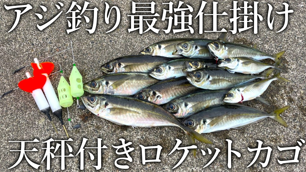 昼からデカアジや青物が面白いほど釣れる!アジ釣り最強のライトカゴ釣りを紹介