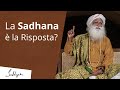 La sadhana è la risposta? | Sadhguru Italiano