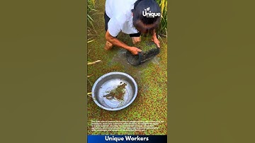 Fishing for beginners: a simple guide to eel catching