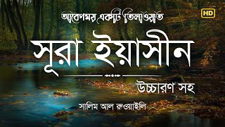 সূরা ইয়াসীন এর আবেগময় তিলাওয়াত । Surah Yasin Bangla Recited by Salim Al Ruwaili । Ya Sin Channel