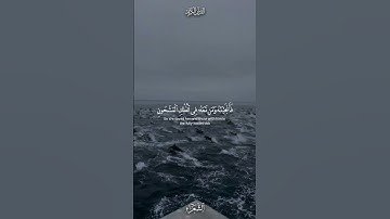 فأنجينه ومن معه في الفلك المشحون 💙🌊|القارئ اسلام صبحي🌷♥ | الشعراء🌕🌌