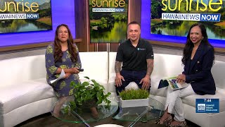 Celebrating Grand Hawaii Electric during National Small Business Month