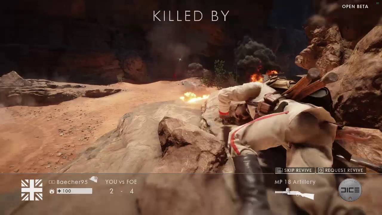 Battlefield 1 no damage