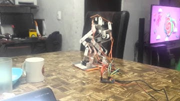 robot bipedo primeros pasos