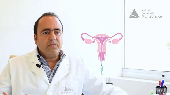 Inseminacin Intra-Uterina: Dr. Alejandro Manzur