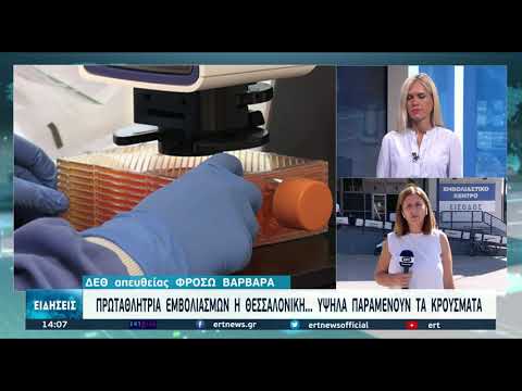 Ανησυχία για την αύξηση των κρουσμάτων στη Βόρεια Ελλάδα-Πρώτη σε εμβολιασμούς η Θεσσαλονίκη