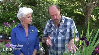Hughes Water And Bog Plants