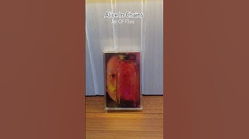 Alice In Chains - jar of flies cassette tape #kasetpita #aliceinchains #cassettetape #shorts #short