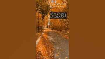 سورة النمل الآية 6-8