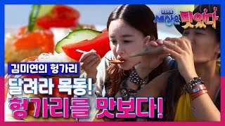 [오감만족 세상은 맛있다] 김미연의 헝가리 1부 달려라 목동! 헝가리를 맛보다! ｜KBS 121015 방송