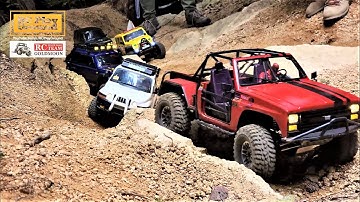 RC Car Team Trail - Forest Rock Crawling 5 - ASMR (TRX4, SCX10 II, RC4WD, BRX02, MST-CMX, Vanquish)
