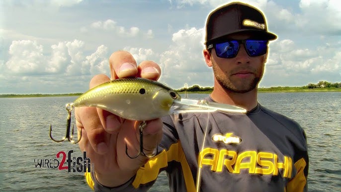 Why You Need The Norman Deep Diving Crankbait In Your Tackle Box –  MONSTERBASS