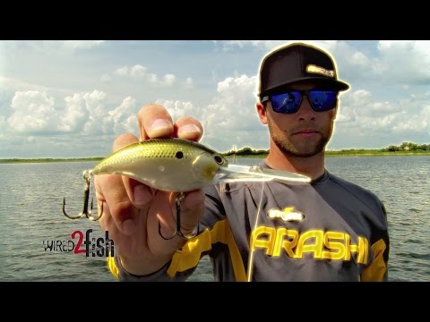 How KVD Catches Big Bass Fishing Crankbaits - VanDam 