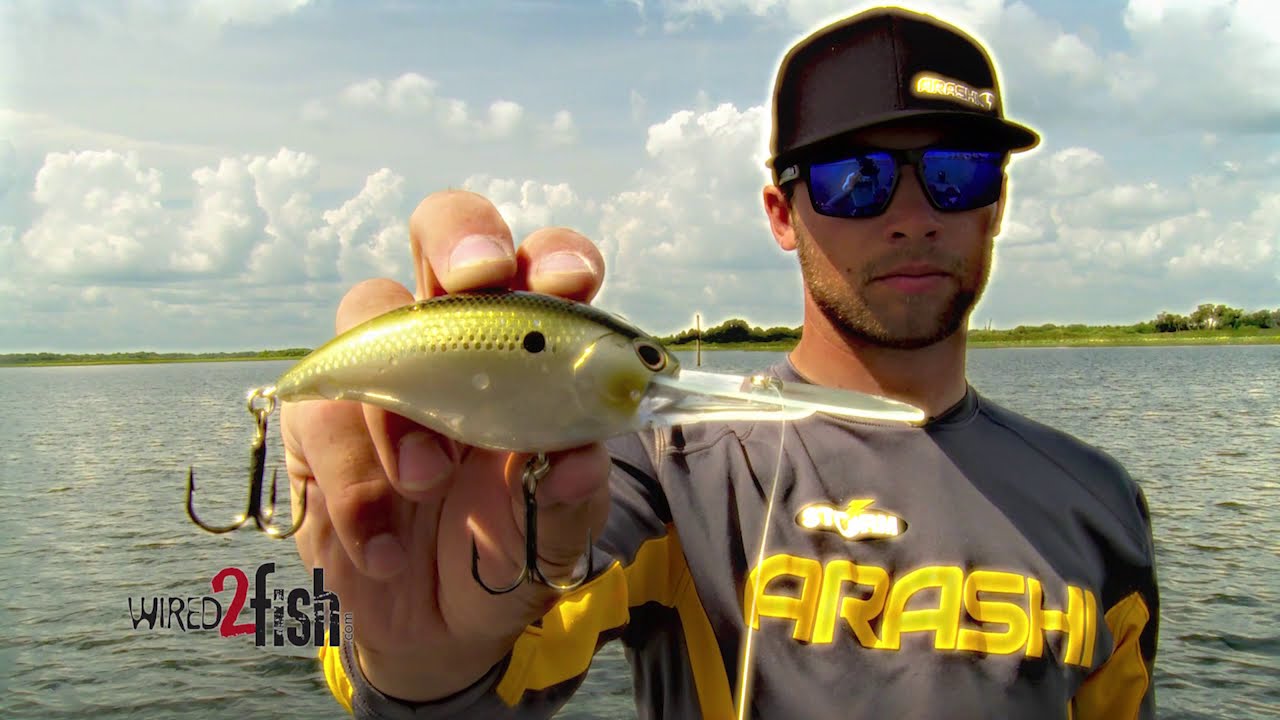 Superdeep crankbaits - Bassmaster