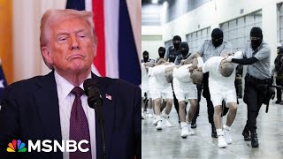 'Nazis got better treatment': Judge shreds Trump DOJ as legal losses pile up