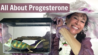 Progesterone: The Changing Chameleon Hormone for Menopause  36