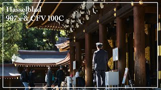 Photo walk at Meiji Jingu Shrine | Hasselblad 907x & CFV 100C | #17