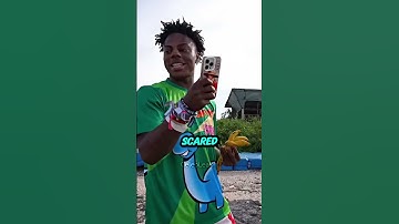 IShowSpeed Meets a Monkey