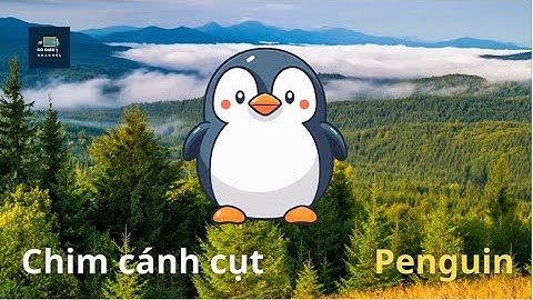 Dạy bé thông minh sớm|Bé học nhận biết con chim cánh cụt Penguin|Bé học tiếng anh qua con vật