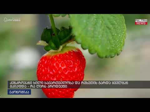 კენკროვანი ხილი საქართველოსა და რუსეთის გარდა ყველგან გაიაფდა - რა ღირს პროდუქტი