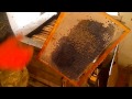 Мёд извлечь из рамок запросто