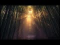 Ancient Shakuhachi in a Bamboo Forest · 90 Min 8D Binaural Zen