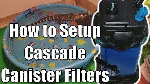 Unboxing & Installing Cascade 1000 Filter for my Alligator