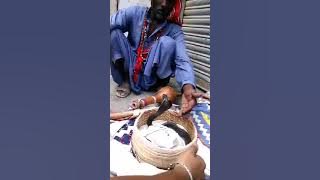 11276050 692358590907474 122430552 n