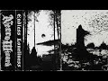 NecroWizard - Endless Loneliness #dsbm #rawblackmetal